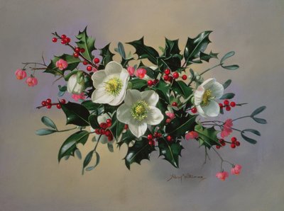 AB89 Christmas Roses by Albert Williams